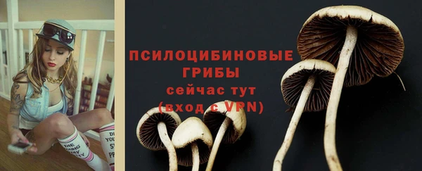герыч Арсеньев