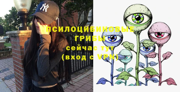 герыч Арсеньев