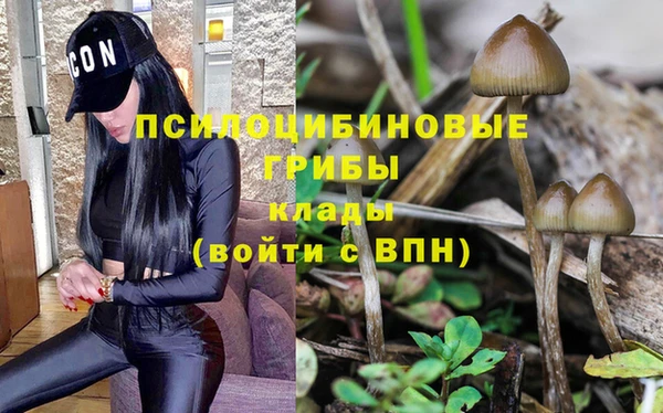 герыч Арсеньев