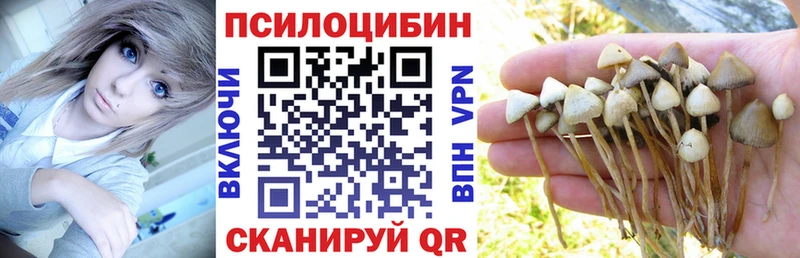Галлюциногенные грибы Psilocybine cubensis  Рыльск 
